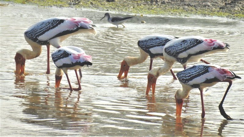 Untitled design (20)