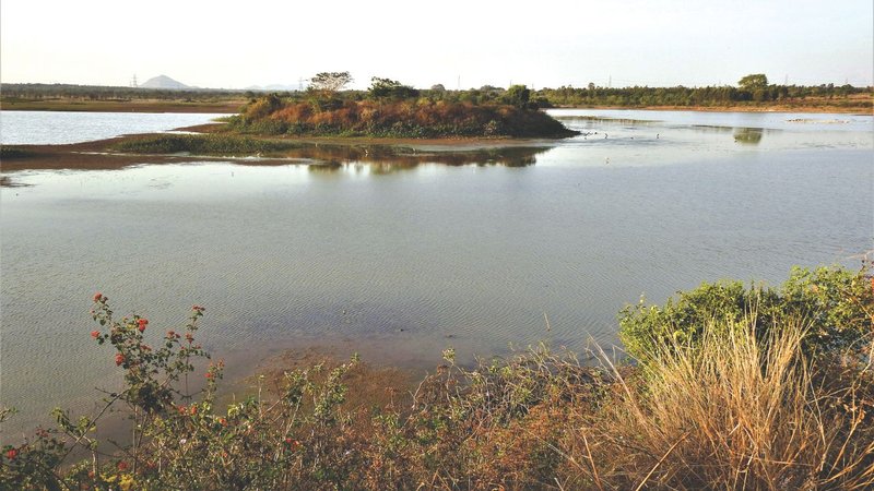 Untitled design (21)