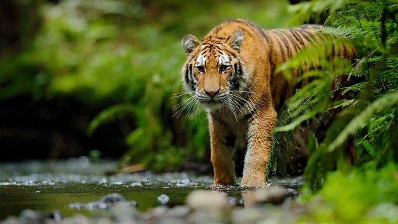 Untitled design (21)