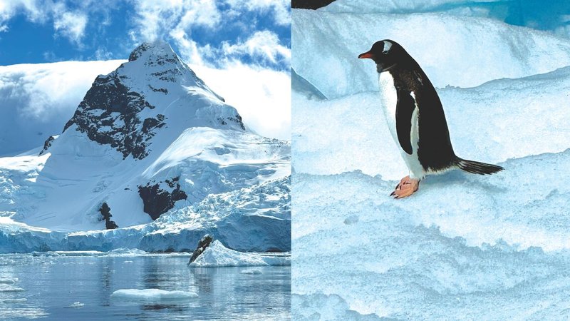 Untitled design (24)