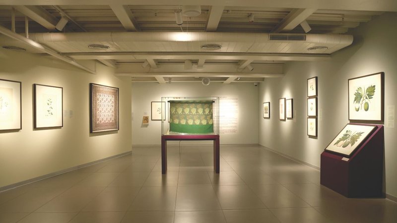 Untitled design (25)