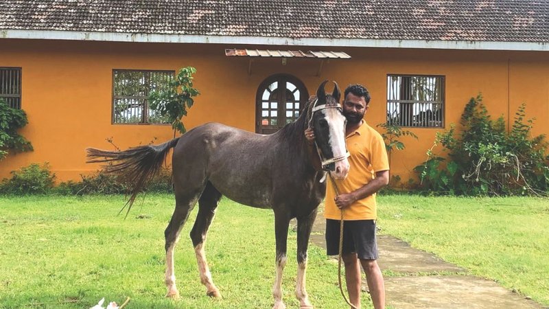 Untitled design (27)