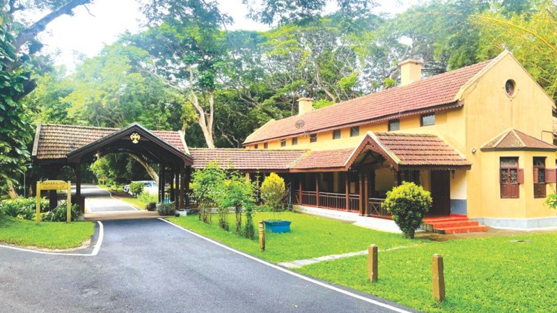 Untitled design (33)