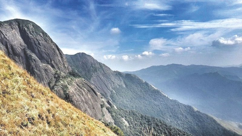 Untitled design (33)