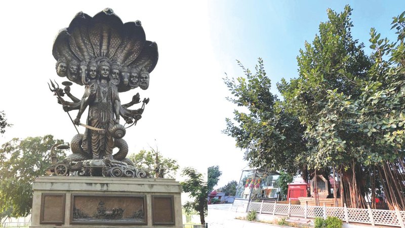 Untitled design (34)