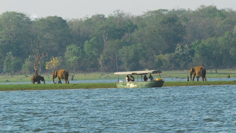 Untitled design (35)