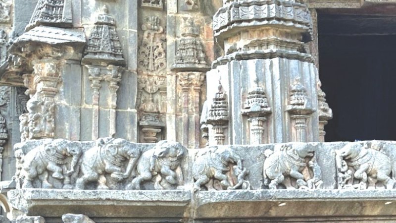 Untitled design (35)