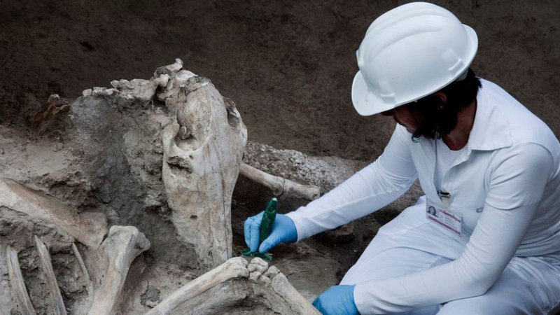 Untitled design (36)