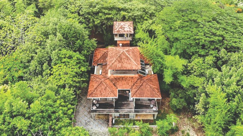 Untitled design (36)