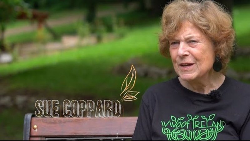 Untitled design (38)