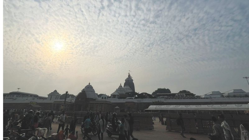 Untitled design (39)