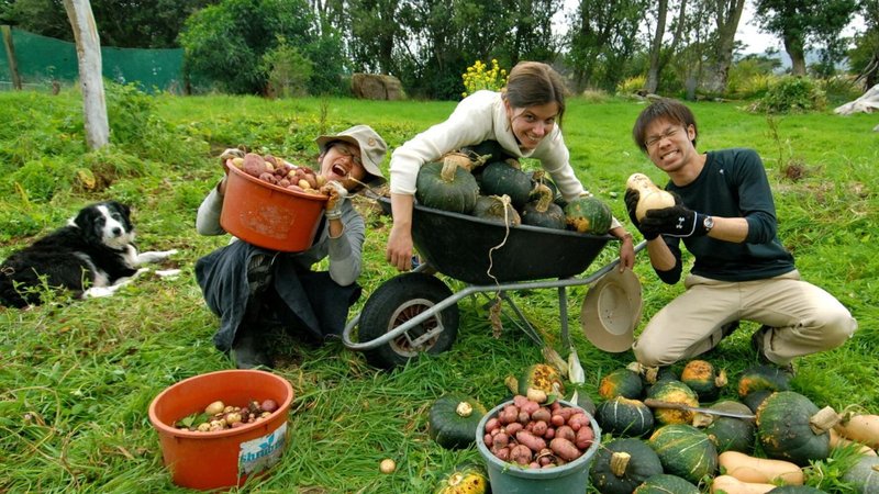 Untitled design (40)