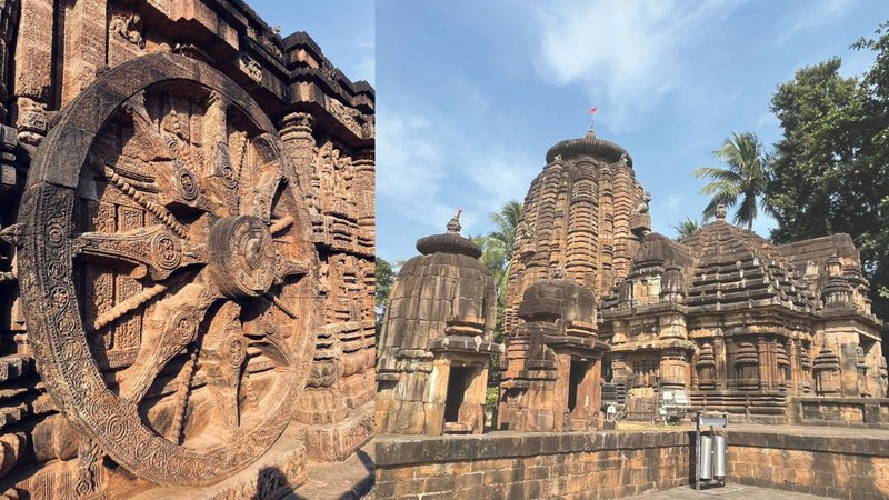 Untitled design (40)