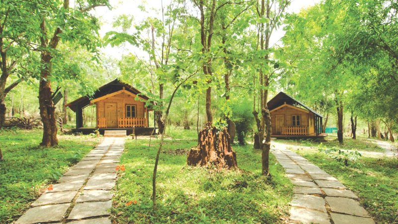 Untitled design (41)