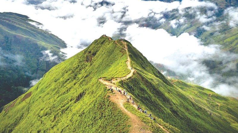 Untitled design (41)