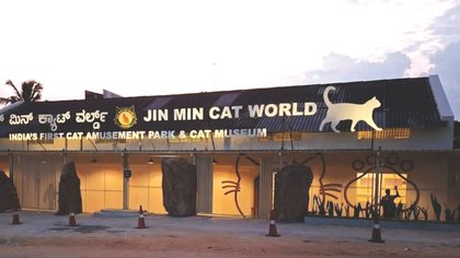 ದೇಶದ ಮೊದಲ ಕ್ಯಾಟ್‌ ಮ್ಯೂಸಿಯಂ