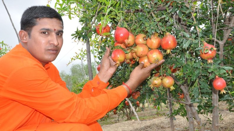 Untitled design (43)