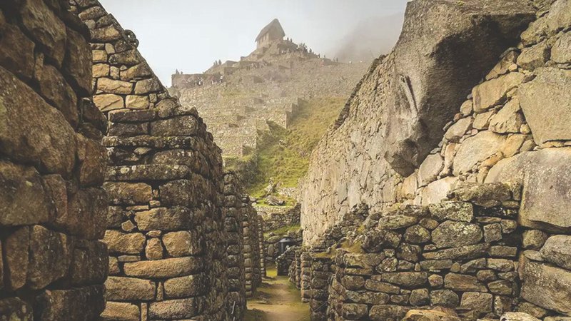 Untitled design (43)