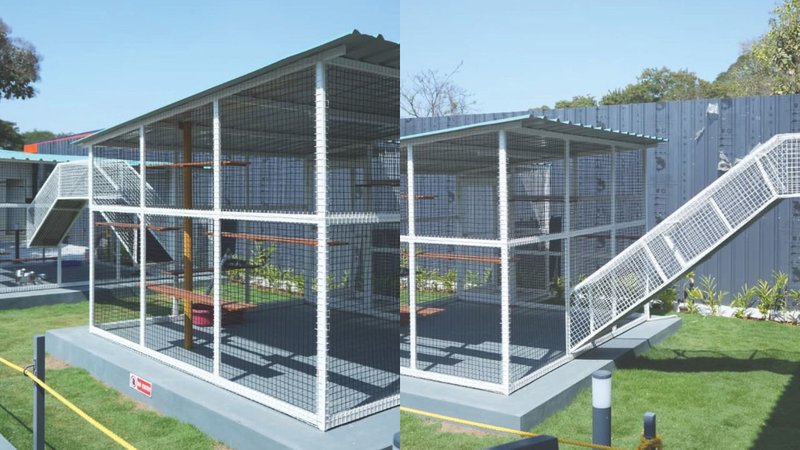 Untitled design (44)