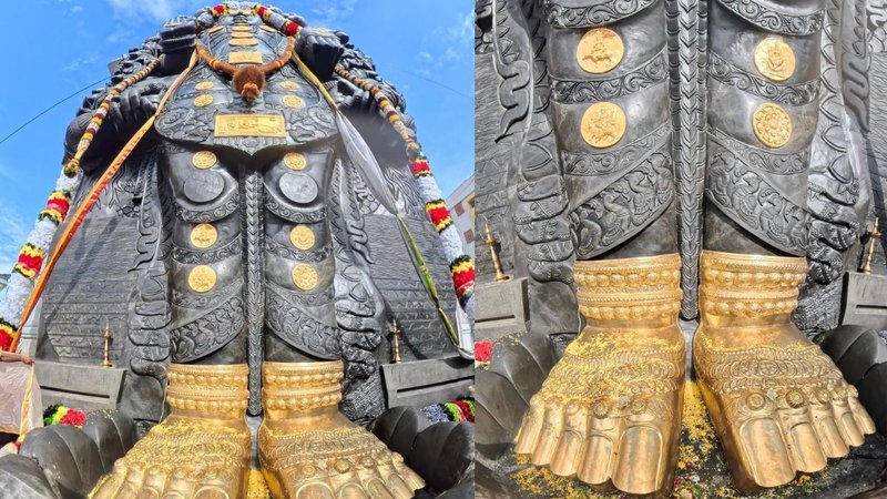 Untitled design (53)