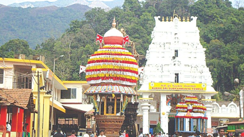 Untitled design (54)