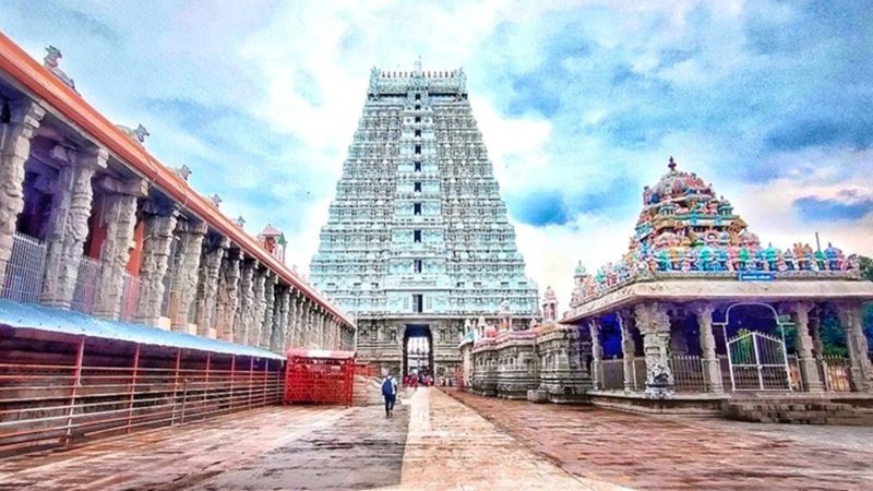 Untitled design (55)