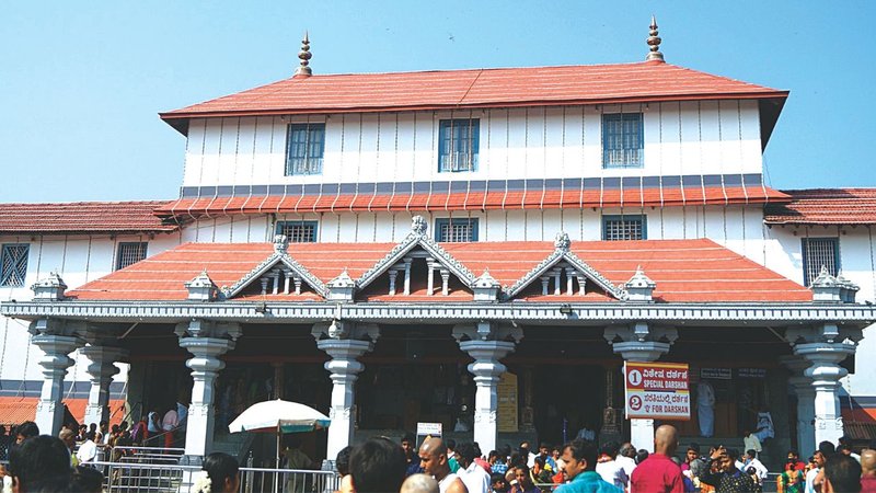 Untitled design (56)