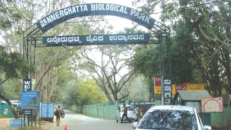 Untitled design (58)