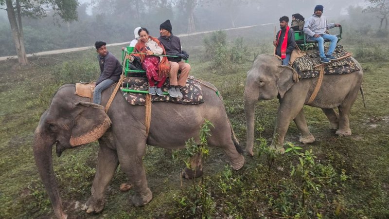 Untitled design (59)