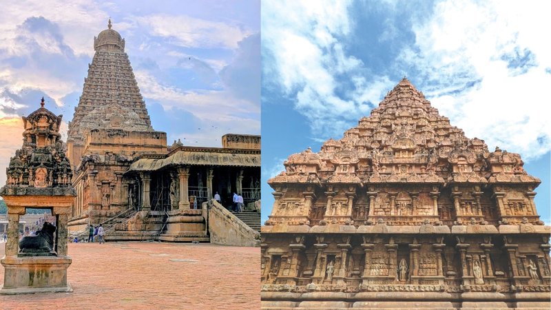 Untitled design (59)