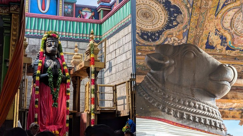 Untitled design (60)