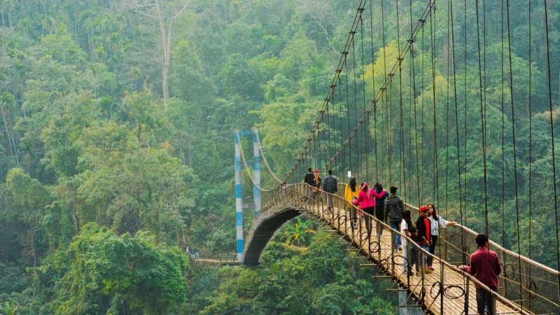 Untitled design (60)