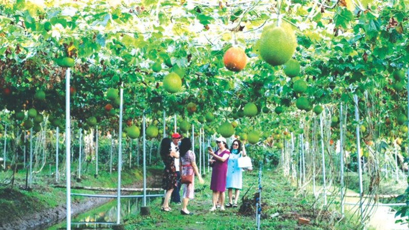 Untitled design (64)