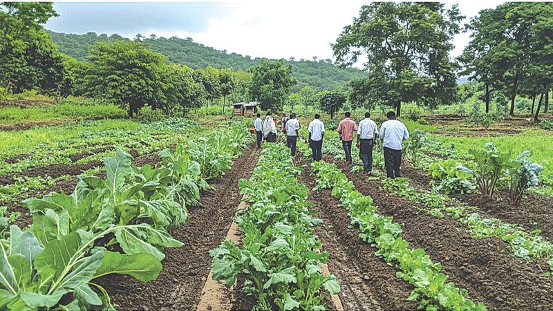 Untitled design (65)