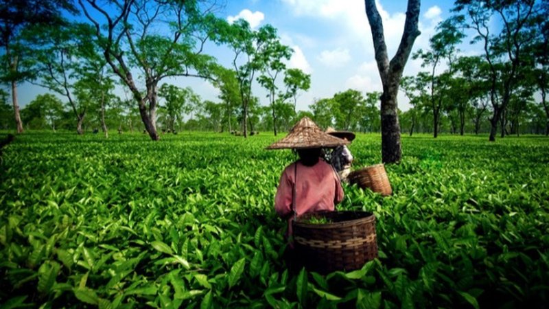 Untitled design (66)