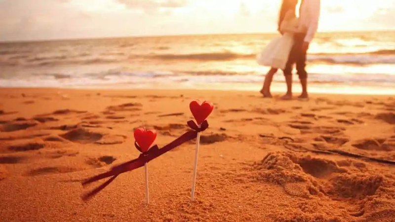 Untitled design (66)