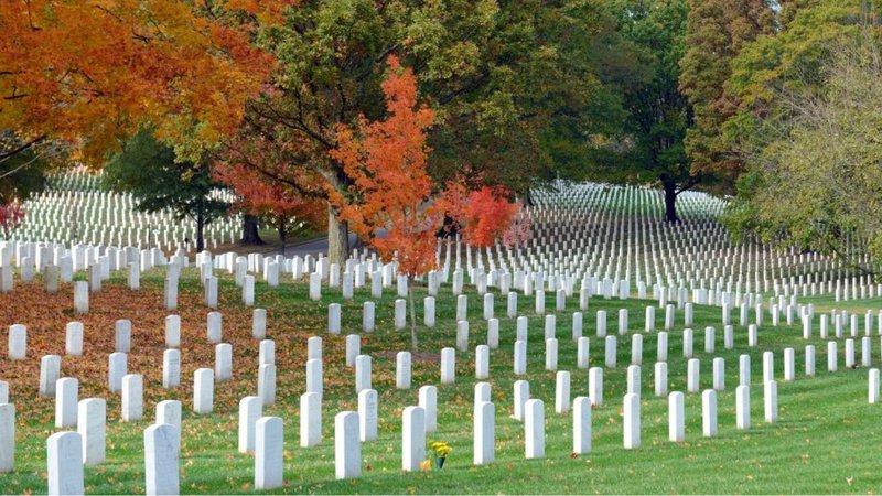 Untitled design (67)