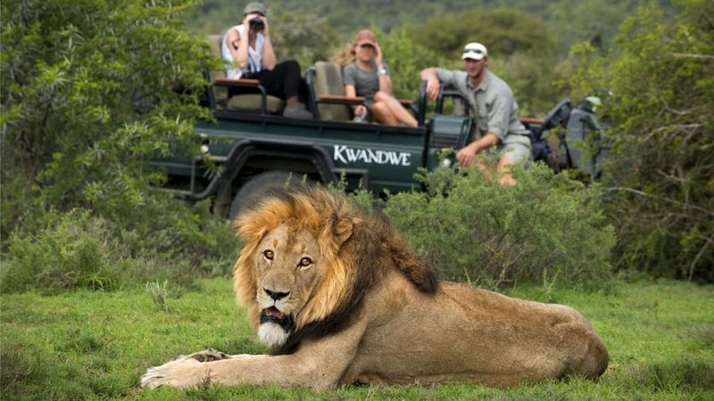 Untitled design (69)