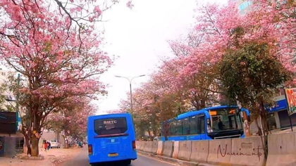 ಎಲೆಯುದುರೋ ಕಾಲ!