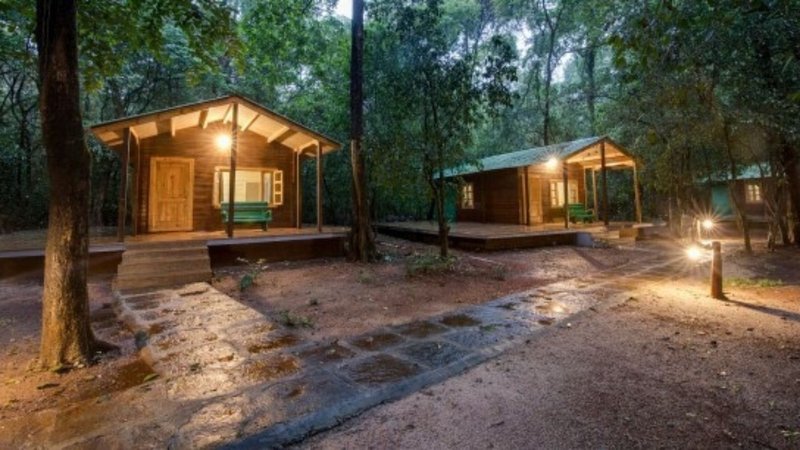 Untitled design (71)