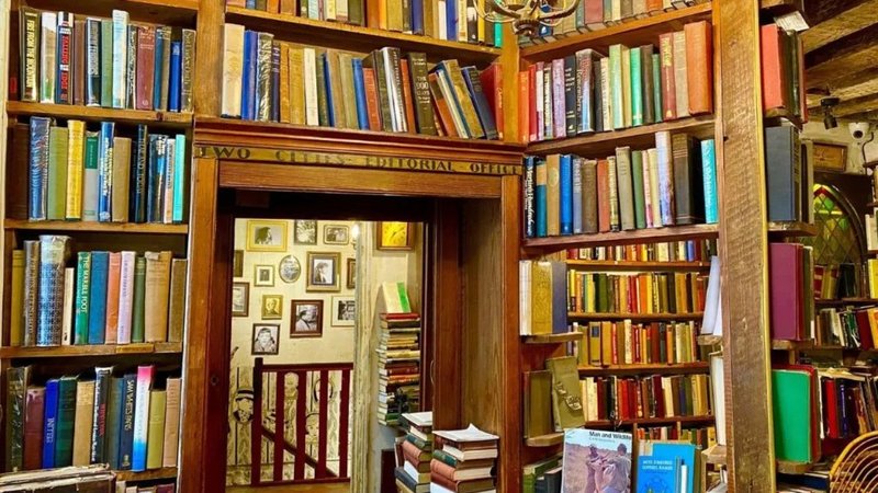 Untitled design (71)