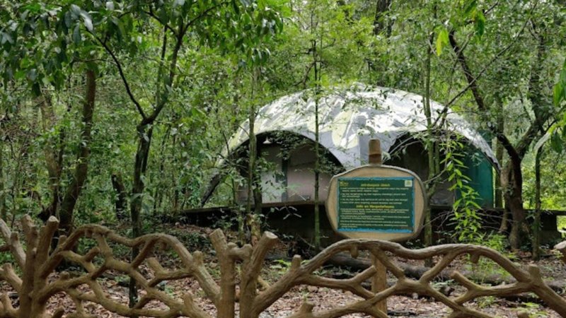 Untitled design (72)