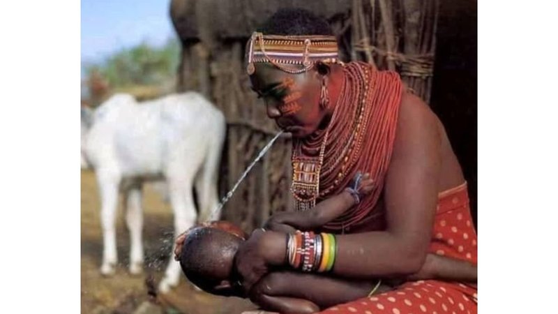 Untitled design (72)