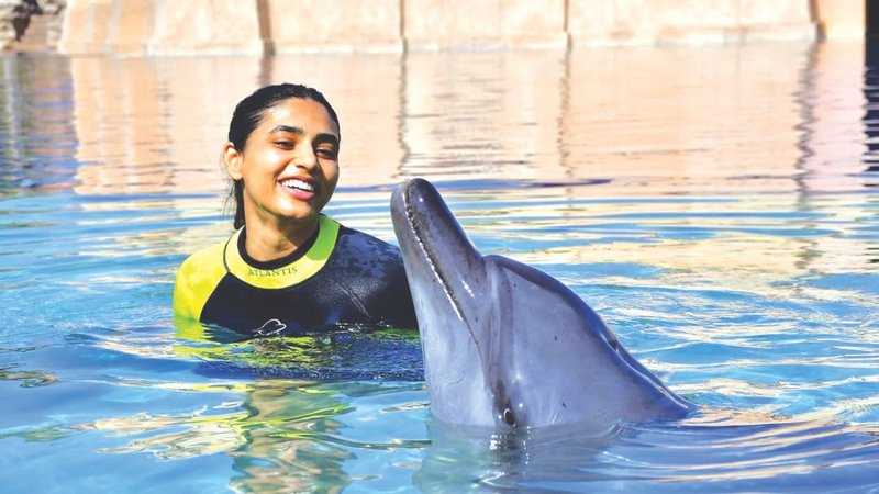 Untitled design (72)