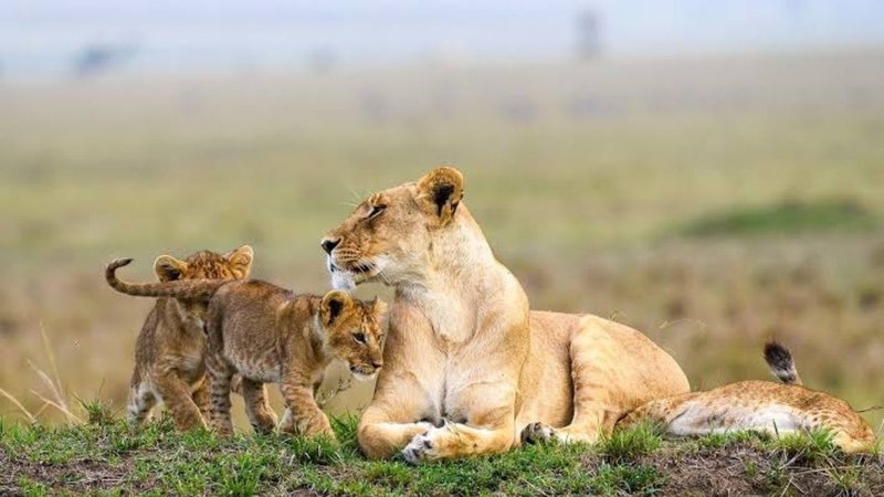 Untitled design (73)