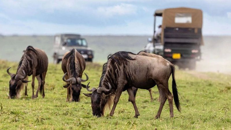 Untitled design (74)