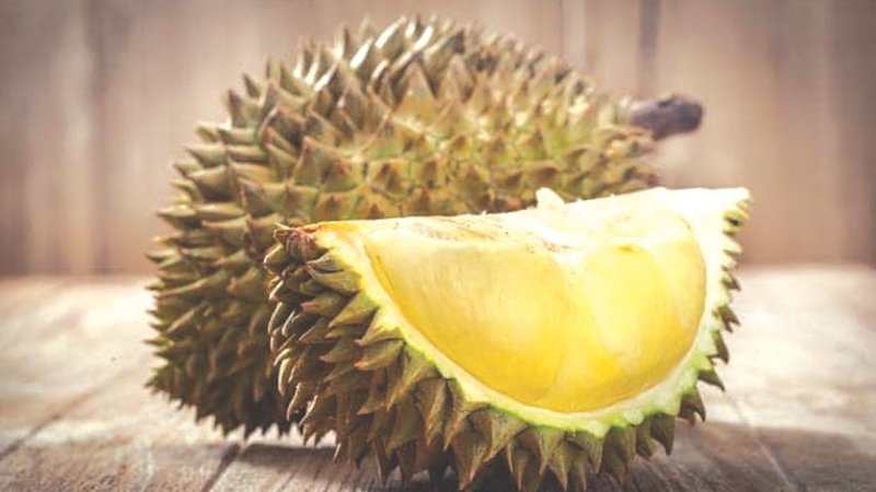 Untitled design (74)