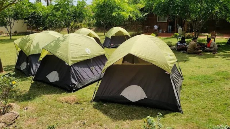 Untitled design (75)