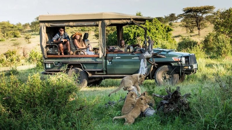 Untitled design (76)