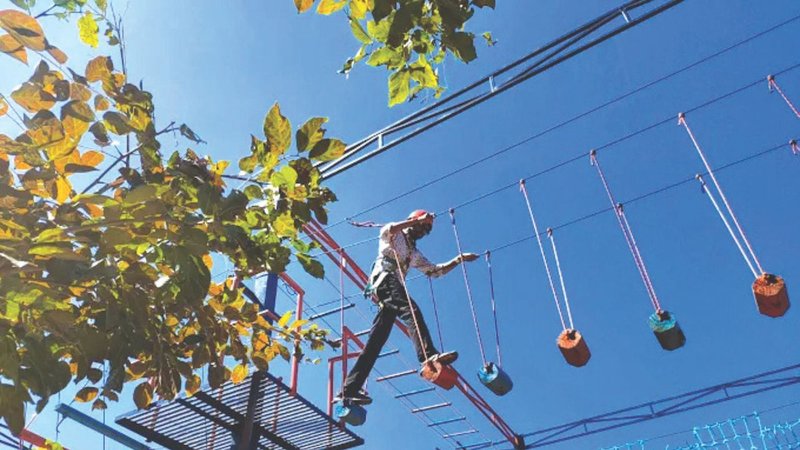 Untitled design (77)